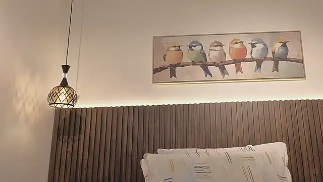 valeriavg webcam
