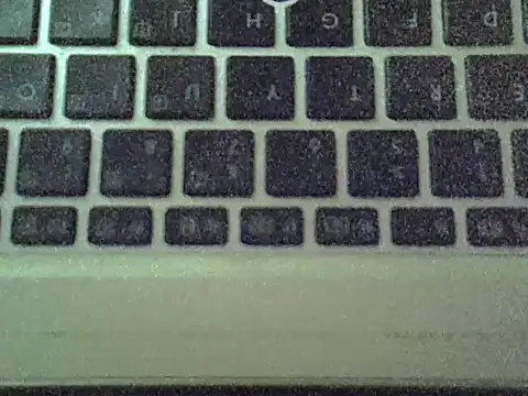 Delicious-D webcam