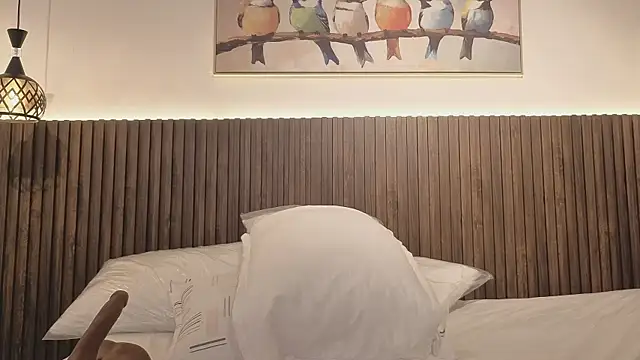valeriavg webcam