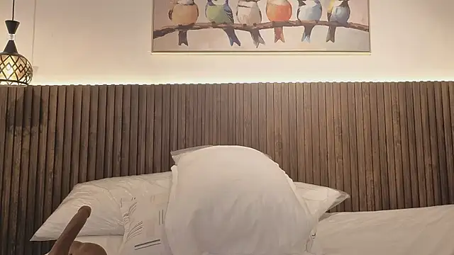 valeriavg webcam