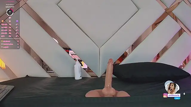 Noa_butterfly_ webcam