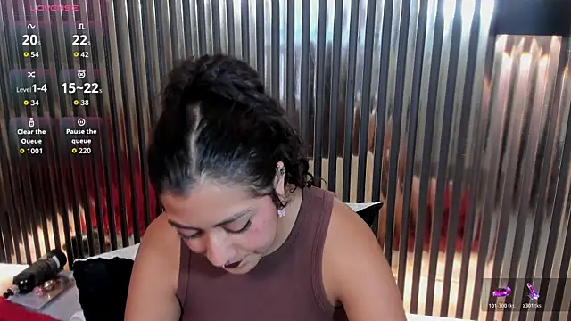 paulys_ webcam