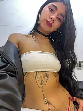 Dakota-fire webcam