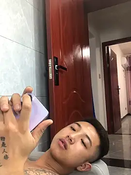 cyj860 webcam