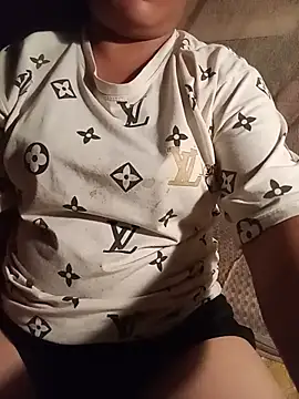 Ip34 webcam