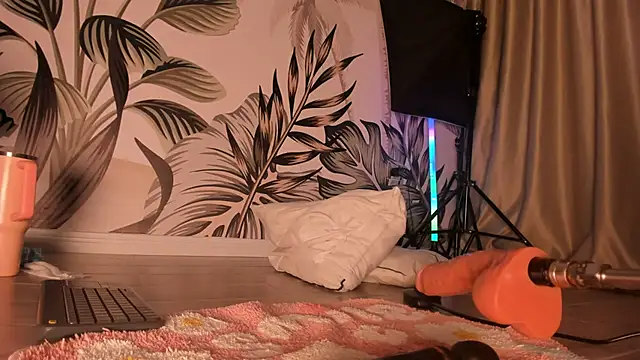 sugar-mirie webcam