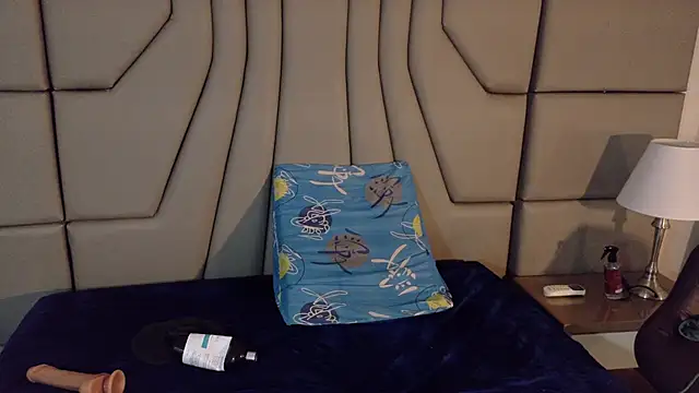 ParanoidTemptaion_ webcam