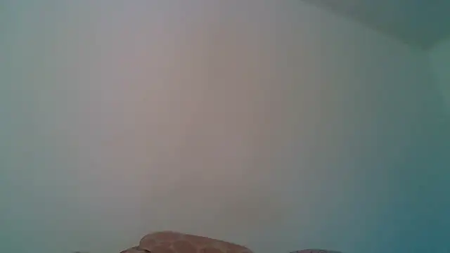 Kaappi1967 webcam