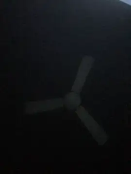 alan0ass webcam