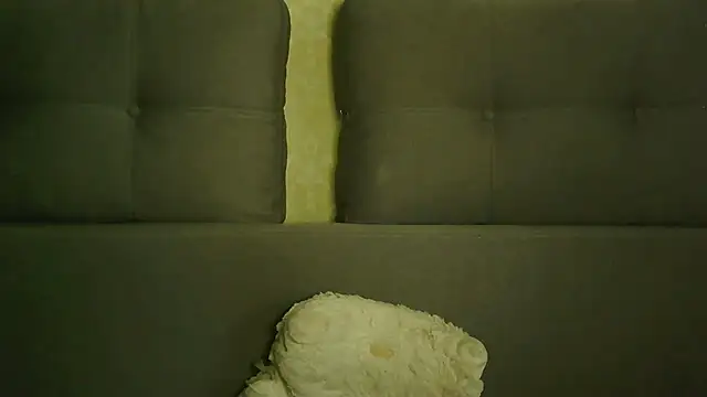 Minisstra webcam