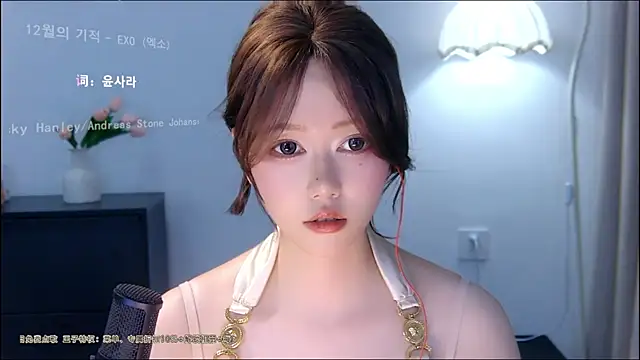 xiaomao-2026 webcam