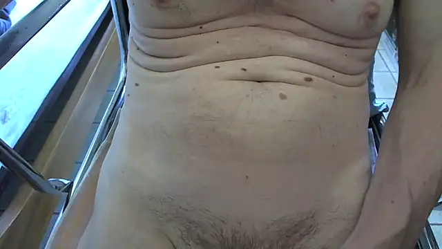 silveplate66 webcam