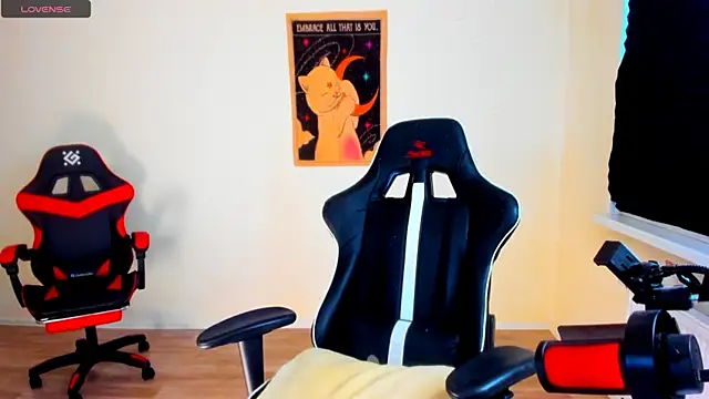 your_tora webcam