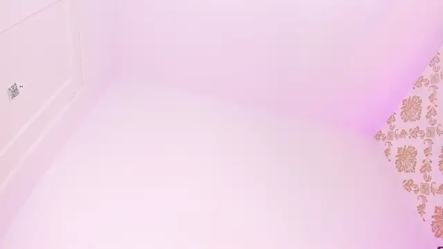 emaa_lambert webcam