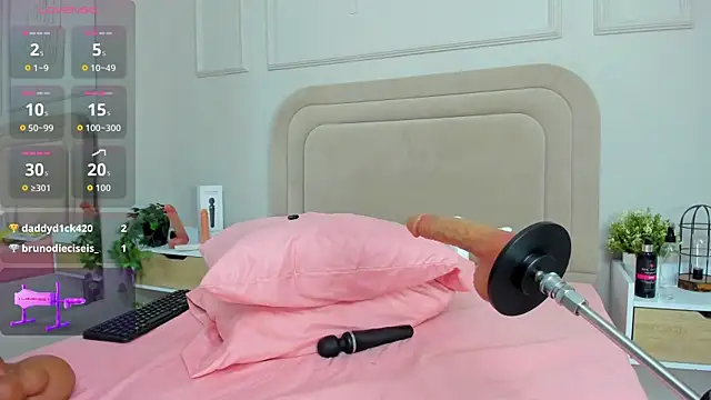 Liastarkk webcam
