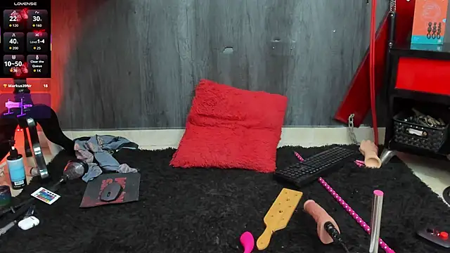 Liittledolly webcam
