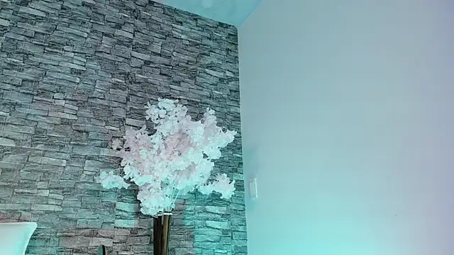 aurora_sweet2 webcam