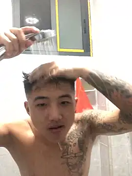 cyj860 webcam