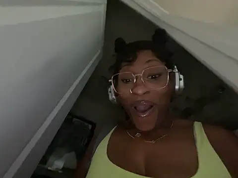 wynterheat webcam