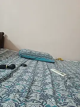 Hansikatelugu webcam