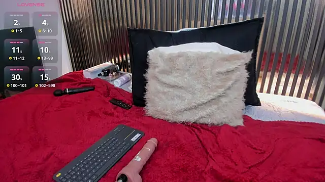 paulys_ webcam