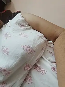 Hansikatelugu webcam
