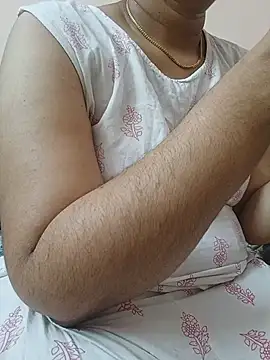 Hansikatelugu webcam