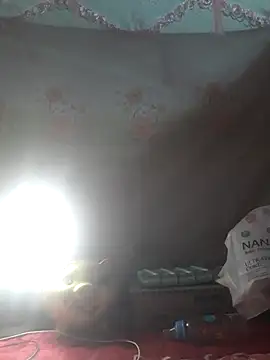 -Tara-a webcam