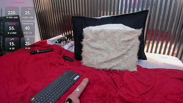 paulys_ webcam