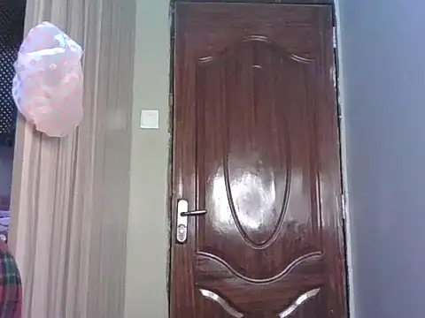 PrettyT5 webcam