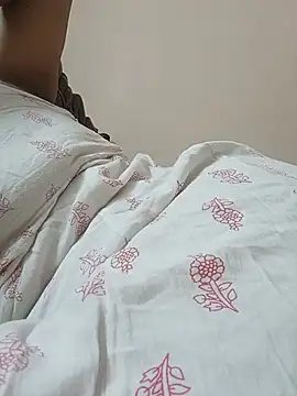 Hansikatelugu webcam