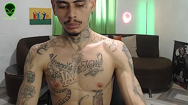 alpha_zom webcam
