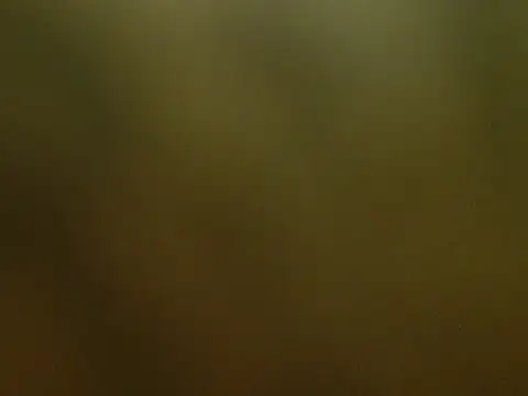 RED_DIAMOND777 webcam