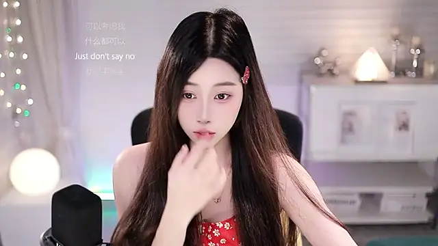 SleepArtist webcam