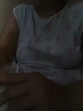 Hansikatelugu webcam