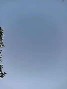 Alexilon webcam