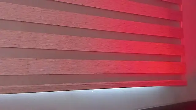 SaraAndrade_ webcam