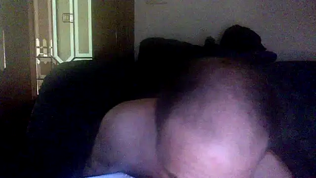 spartan24cm webcam
