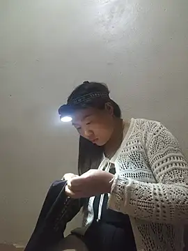 he-se-kin webcam