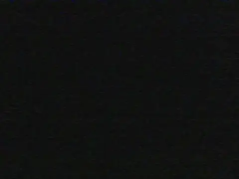 shugabaibe