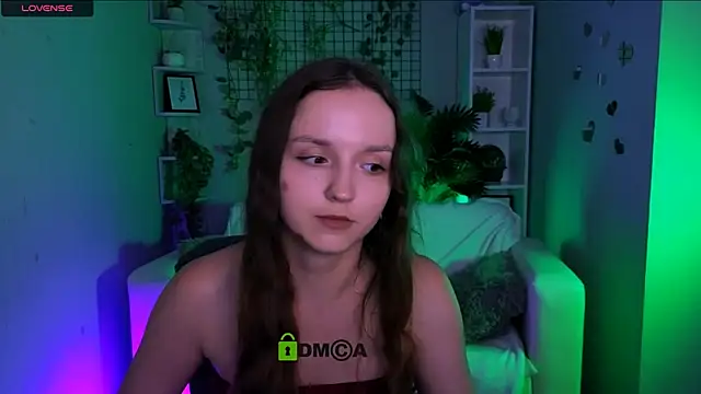 elsa_snow webcam