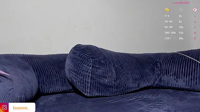 kuzzcoo webcam