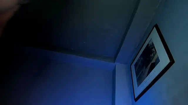 Travisttanner28 webcam