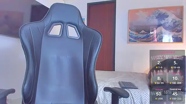 RJBarto webcam