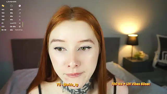 aidaha webcam