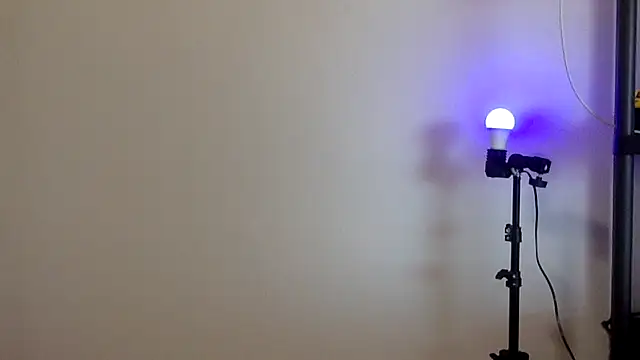 MiaFly06 webcam
