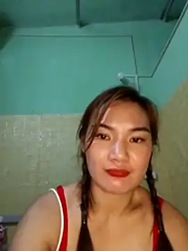 Voiva11 webcam
