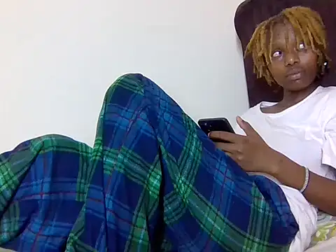 Softsinstud1 webcam