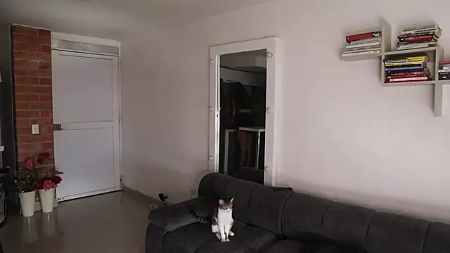 _Vahos_ webcam
