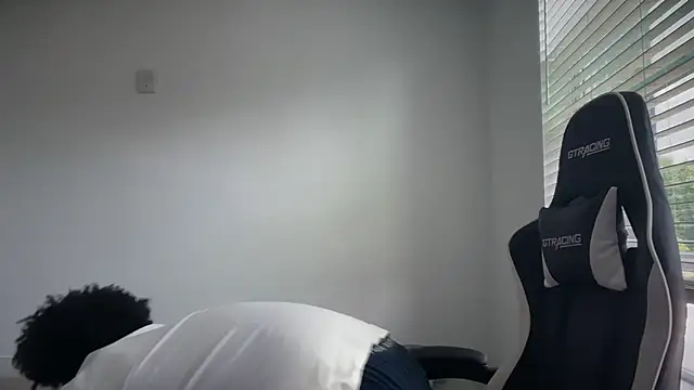 Remreaper webcam